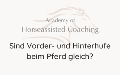 Sind Vorder- und Hinterhufe beim Pferd gleich?