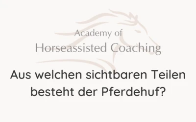 Aus welchen sichtbaren Teilen besteht der Pferdehuf?