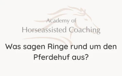 Was sagen Ringe rund um den Pferdehuf aus?⠀