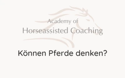 Können Pferde denken?
