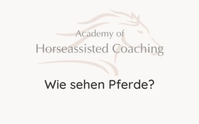 Wie sehen Pferde?