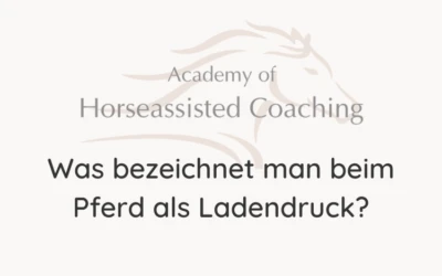 Was bezeichnet man beim Pferd als Ladendruck?