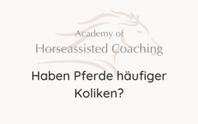 Haben Pferde häufiger Koliken?