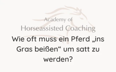 Wie oft muss ein Pferd „ins Gras beißen“ um satt zu werden?