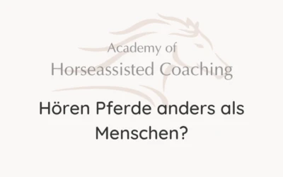Hören Pferde anders als Menschen?