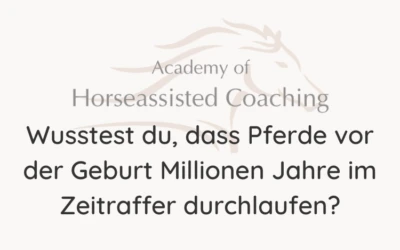 Wusstest du, dass Pferde vor der Geburt Millionen Jahre im Zeitraffer durchlaufen?