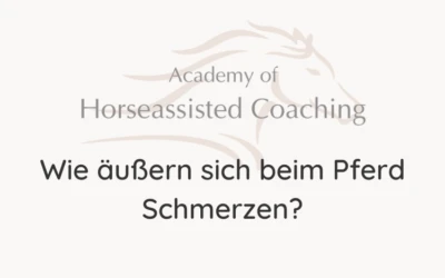 Wie äußern sich beim Pferd Schmerzen?