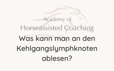 Was kann man an den Kehlgangslymphknoten ablesen?