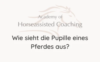 Wie sieht die Pupille eines Pferdes aus?