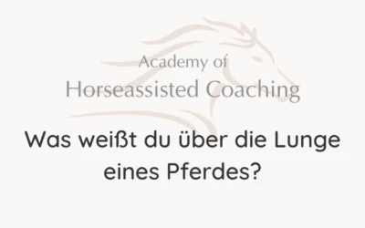 Was weißt du über die Lunge eines Pferdes?