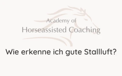 Wie erkenne ich gute Stallluft?⠀