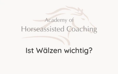 Ist Wälzen wichtig?⠀