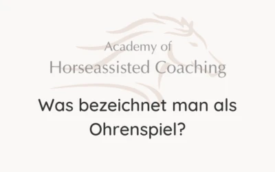 Was bezeichnet man als Ohrenspiel?