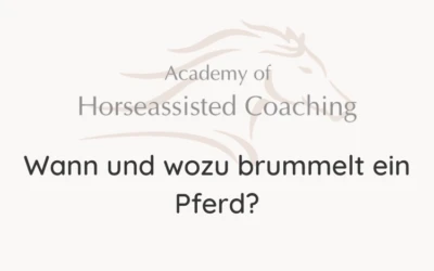 Wann und wozu brummelt ein Pferd?