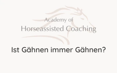 Ist Gähnen immer Gähnen?⠀