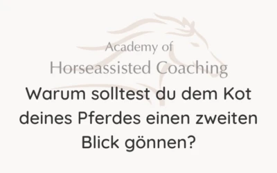 Warum solltest du dem Kot deines Pferdes einen zweiten Blick gönnen?