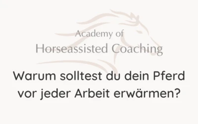 Warum solltest du dein Pferd vor jeder Arbeit erwärmen?