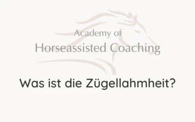 Was ist die Zügellahmheit?