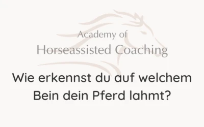 Wie erkennst du auf welchem Bein dein Pferd lahmt?