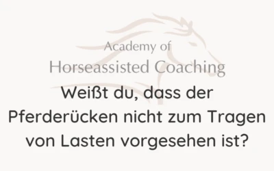 Weißt du, dass der Pferderücken nicht zum Tragen von Lasten vorgesehen ist?