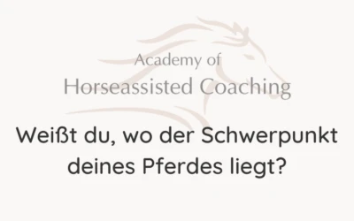 Weißt du, wo der Schwerpunkt deines Pferdes liegt?