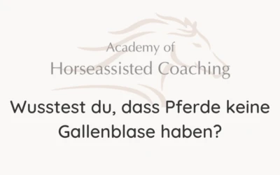 Wusstest du, dass Pferde keine Gallenblase haben?⠀