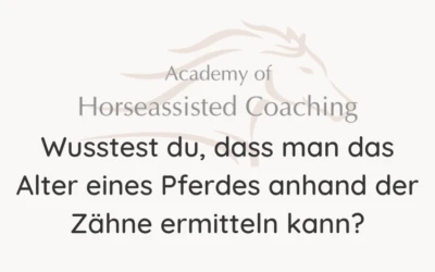 Wusstest du, dass man das Alter eines Pferdes anhand der Zähne ermitteln kann?⠀
