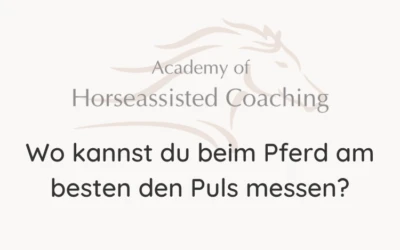 Wo kannst du beim Pferd am besten den Puls messen?