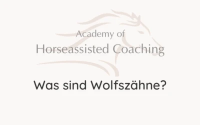 Was sind Wolfszähne?⠀