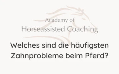 Welches sind die häufigsten Zahnprobleme beim Pferd?