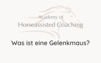 Was ist eine Gelenkmaus?
