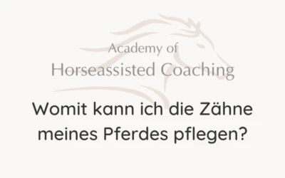 Womit kann ich die Zähne meines Pferdes pflegen?