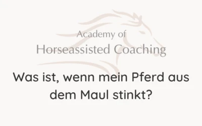 Was ist, wenn mein Pferd aus dem Maul stinkt?