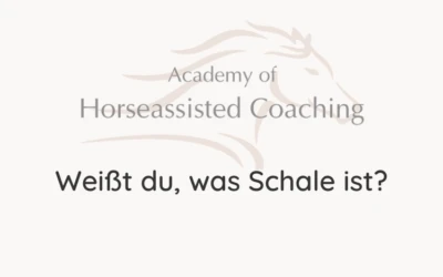 Weißt du, was Schale ist?