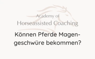 Können Pferde Magengeschwüre bekommen?