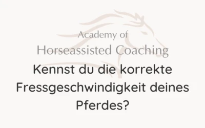 Kennst du die korrekte Fressgeschwindigkeit deines Pferdes?⠀