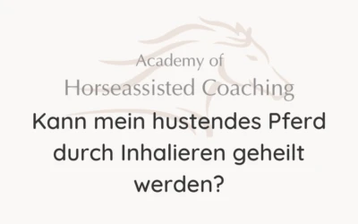 Kann mein hustendes Pferd durch Inhalieren geheilt werden?⠀