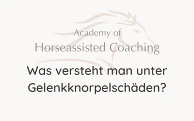 Was versteht man unter Gelenkknorpelschäden?