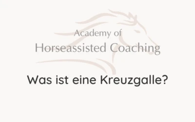Was ist eine Kreuzgalle?⠀