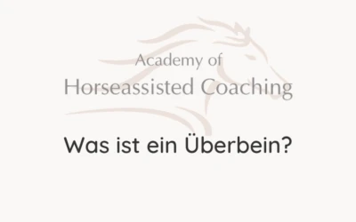 Was ist ein Überbein?