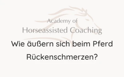 Wie äußern sich beim Pferd Rückenschmerzen?