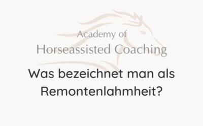 Was bezeichnet man als Remontenlahmheit?