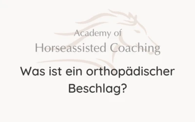 Was ist ein orthopädischer Beschlag?