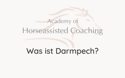 Was ist Darmpech?⠀